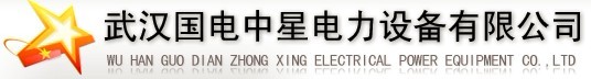 武汉国电中星电力设备有限公司
