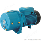 XDPm255A/1家用喷射泵/家用潜水泵/家用泵价格