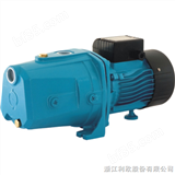 LJm100L自吸喷射泵/单相自吸喷射泵/双管喷射泵的吸程