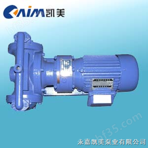 DBY型电动隔膜泵 电动泵 卧式隔膜泵