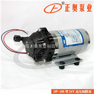 DP-100型24V高压隔膜泵
