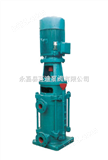 50DL12.6-12.2*2立式多级高压泵，离心泵规格型号，DL离心泵