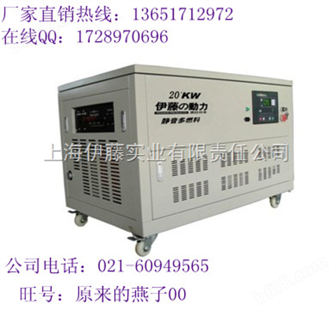 移动式液化气发电机/20KW全自动液化气发电机