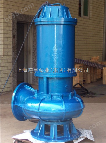 WQ排污泵 无阻塞潜水排污泵 上海连宇排污泵厂家 产品排污泵