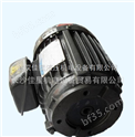 供应中国台湾群策油泵电机C01-43B0 /1HP-4P工业电机