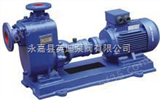 40ZX6.3-20ZX泵，自吸泵，上海自吸泵