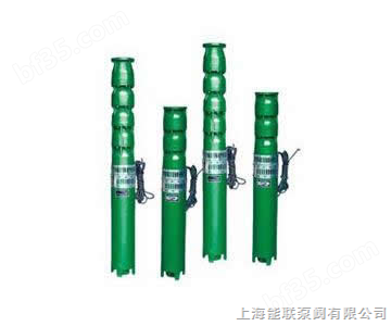 井用潜水电泵|上海能联泵阀