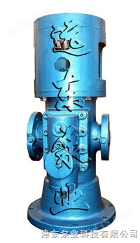 SNS立式螺杆泵 