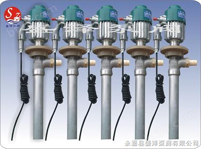 防爆电动抽液泵/电动抽液泵SB-8/不锈钢电动抽液泵