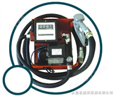 电动油泵/电动计量加油泵总成/齿轮式输油泵