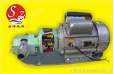 WCB齿轮油泵/齿轮油泵（配防爆电机）/KCB-300齿轮泵