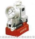 日本DAP-120W型电动液压泵