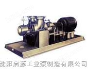 DSJH型石油化工流程泵