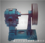 YS-12型齿轮泵/油泵/化工泵