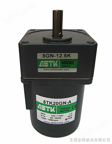 5TK20GN-A,5TK20GN-C,ASTK单相力矩电机