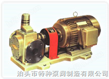 齿轮泵KCB-9601024
