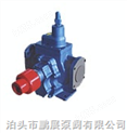 KCG5/0.6型高温齿轮油泵