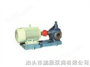 KCG15/0.6型高温齿轮油泵