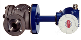 Bopp&Reuther全系列Bopp&Reuther小流量椭圆齿轮流量计,切割阀，安全阀，密度和浓度计，过滤器