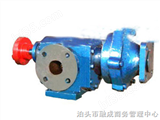 DPZ-1.2/0.6DPZ系列高真空强排式齿轮泵