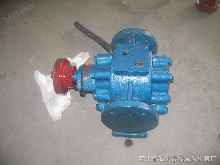 LQB29-0.8保温沥青泵www.yuanhubeng.com