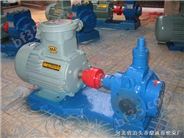 YCB2.5-1.6圆弧泵，圆弧齿轮泵，铜轮圆弧泵