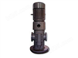 25×4-463GL型螺杆泵（立式）