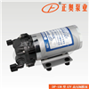 DP-130型12V高压隔膜泵