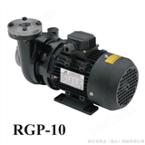 RGP-10/250℃热油泵