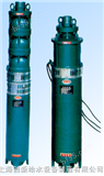  QS型充水式多级潜水电泵  